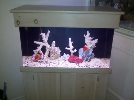 30g Saltwater